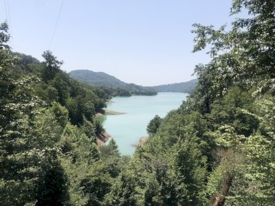 Hyrcanian Forests by Boj