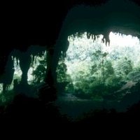 Niah Caves by Solivagant