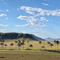 Cerrado Protected Areas by Shandos Cleaver