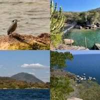 Lake Malawi by Randi Thomsen