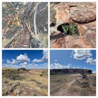 Mapungubwe by Svein Elias