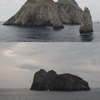 Malpelo by Zoë Sheng