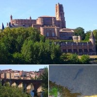 Albi by Tsunami