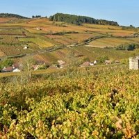 Burgundy by Frederik Dawson