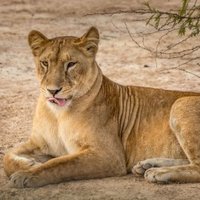 W-Arly-Pendjari Complex by Christravelblog