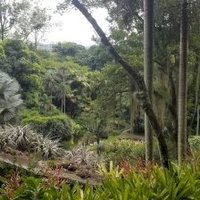 Sítio Roberto Burle Marx by Zoë Sheng