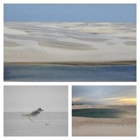 Lençóis Maranhenses National Park by Els Slots