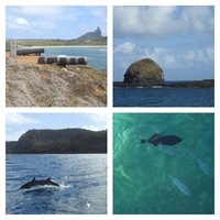 Brazilian Atlantic Islands by Els Slots