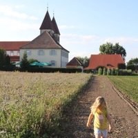 Reichenau by Jakob Frenzel