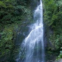 Colchic Rainforests and Wetlands by Mahuhe