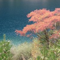 Jiuzhaigou Valley by Els Slots