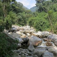 Rwenzori Mountains by Els Slots