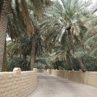 Al Ain by Els Slots