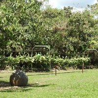 Stone Spheres of the Diquís by Els Slots
