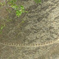 Gobustan Rock Art by Els Slots