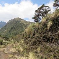Sangay National Park by Els Slots