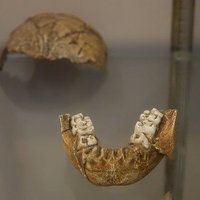 Fossil Hominid Sites by Els Slots