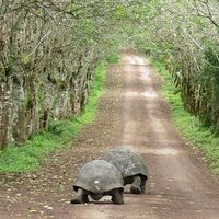 Galapagos Islands by Els Slots