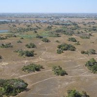 Okavango Delta by Els Slots