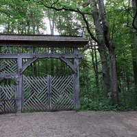 Białowieża Forest by Els Slots