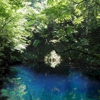 Shirakami-Sanchi by Els Slots
