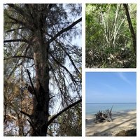Andaman Sea Nature Reserves of Thailand by Els Slots