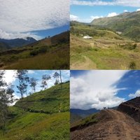 Lorentz National Park by Zoë Sheng