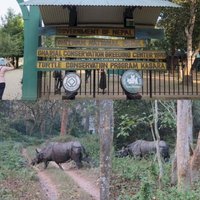 Chitwan National Park by Zoë Sheng