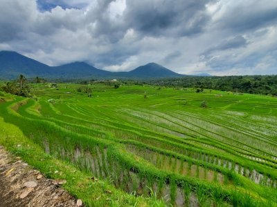 Bali Subak system by Frédéric M