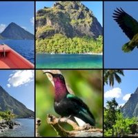 Pitons Management Area by Clyde