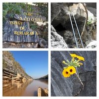 Andrefana Dry Forests by Els Slots