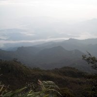 Taman Negara by Nafis N