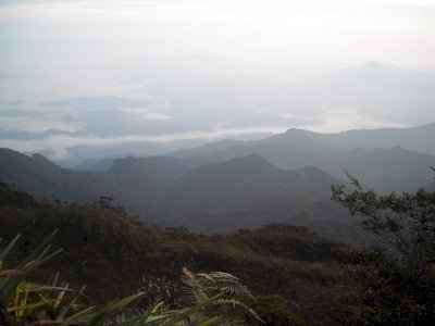 Taman Negara by Nafis N