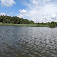 Colchic Rainforests and Wetlands by Nan