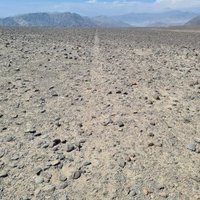 Nasca Lines by Timonator