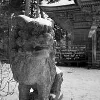 Hiraizumi by J_neveryes