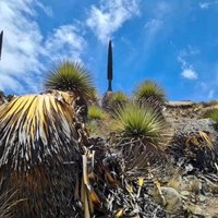 Huascaran National Park by Timonator