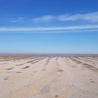 East Atlantic Flyway by Argo
