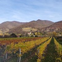 Wachau Cultural Landscape by CugelVance