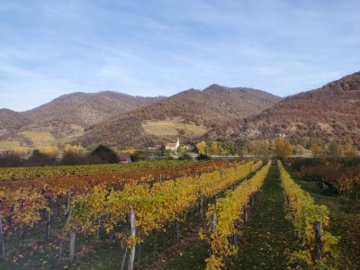 Wachau Cultural Landscape by CugelVance
