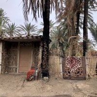 Oasis de Gabes by Stanislaw Warwas