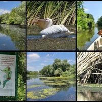 Danube Delta by Clyde
