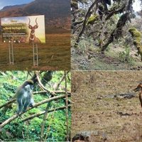 Bale Mountains National Park by Wojciech Fedoruk