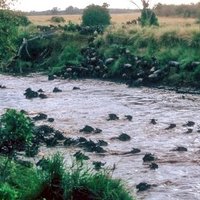 Maasai Mara Game Reserve by Solivagant