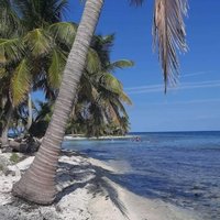 Belize Barrier Reef by Patrik