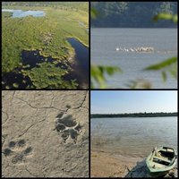 Srebarna Nature Reserve by Clyde