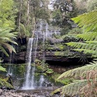 Tasmanian Wilderness by Shandos Cleaver