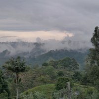 Coffee Cultural Landscape