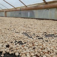Coffee Cultural Landscape