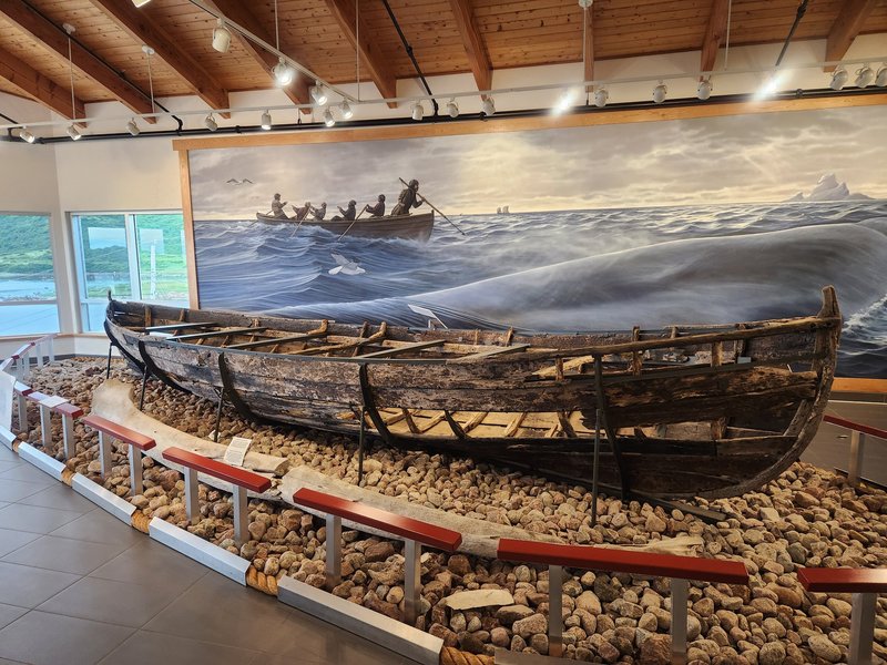 400 years old chalupa, Red Bay Basque Whaling Station